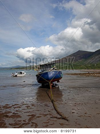 Trefor