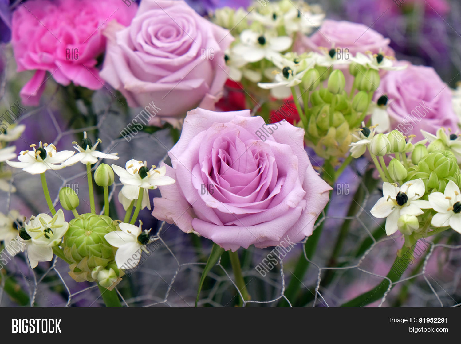 ZAGREB, CROATIA MAY Image & Photo (Free Trial) Bigstock