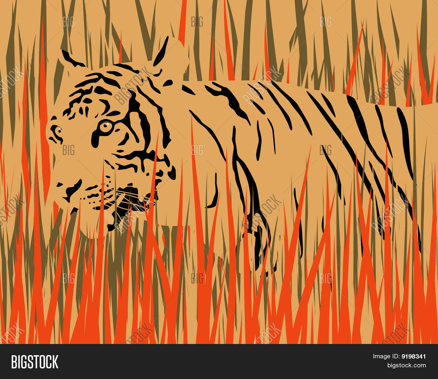 Image Preview
