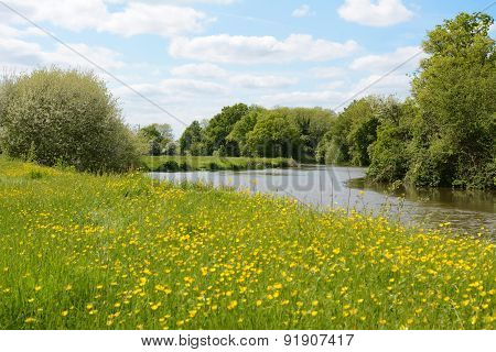 River Flowing Through A Meadow