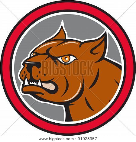 Pitbull Dog Mongrel Head Circle Side Cartoon