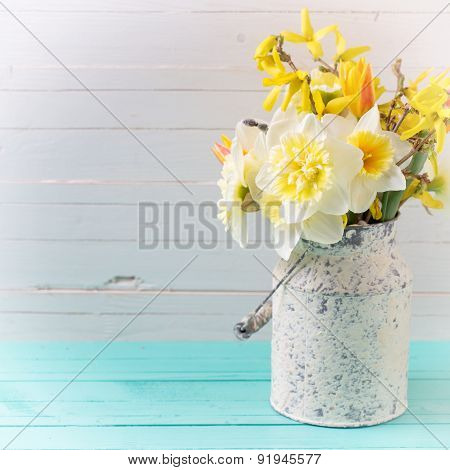 Background With Fresh Daffodils
