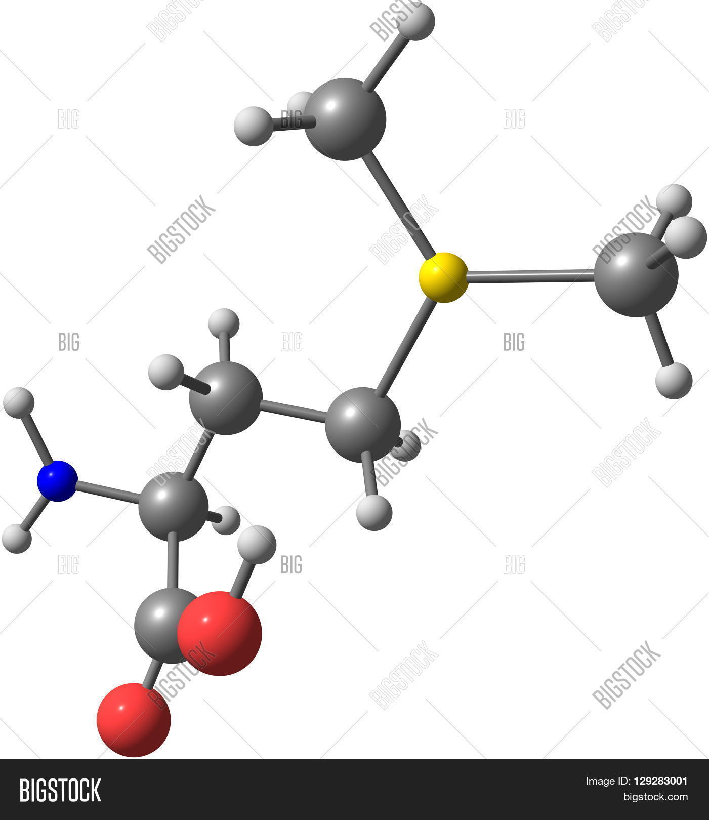 Vitamin U S Image & Photo (Free Trial) Bigstock