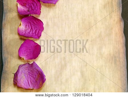 A background of paper with pnk rose petals