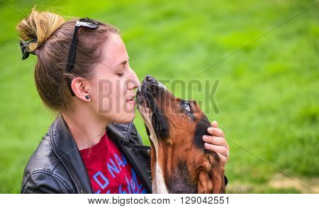 Young woman with an affectionate one year old Basset hound (Canis lupus familiaris) in the yard of a hobby farm.  Girl loves her dog, wet kisses from her one year old Basset hound.