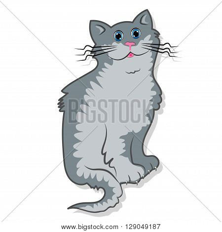 Cute cats - A cute gray tomcat is sitting and smiling