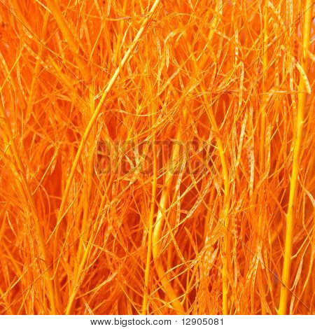 sfondo di sisal