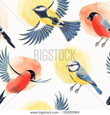 Flying bullfinch and tomtit vector seamless background