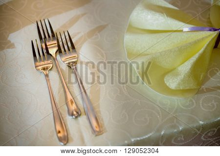 Tree type of fork and napkin on a table