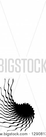 Converging Lines, Starburst, Sunburst Background In Wide Format. Black And White Beams