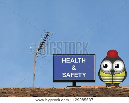 Comical bird construction worker watching health and safety induction programme perched on a rooftop against a clear blue sky
** Note: Visible grain at 100%, best at smaller sizes