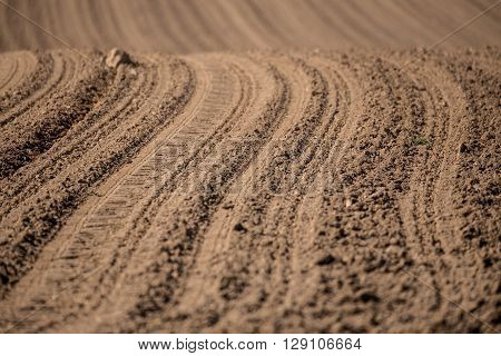 Beautiful Summer Rural Landscape Lines