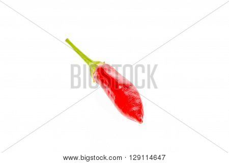 Red Hot Chili Peppers Cayenne, Serrano With Green Stem.