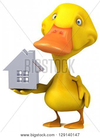 Duck
