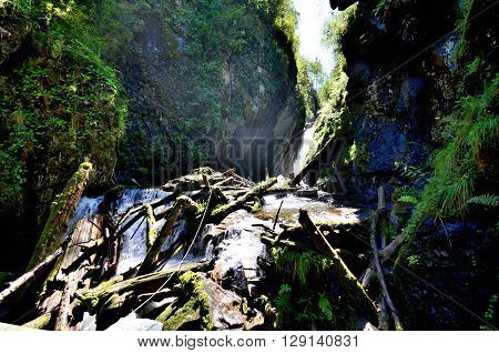 View of the River Great Estyube with fallen trees after Hurricane Altai Republic