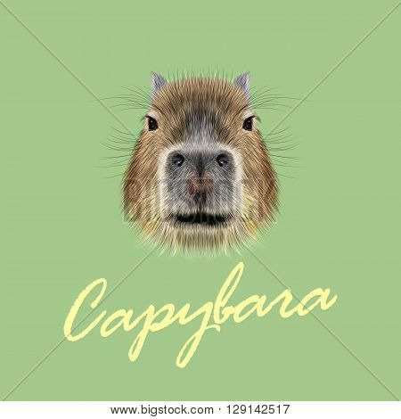Vector Illustrated Portrait of Capybara. Cute face of wild Capybara on green background.