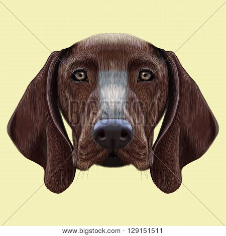 Illustrated portrait of German Shorthaired Pointer dog. Cute brown face of domestic dog on yellow background