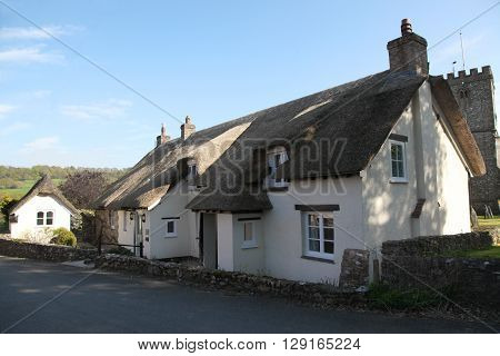 A Devon cottage nestling in the evening sunshine with a Norman church tower behind