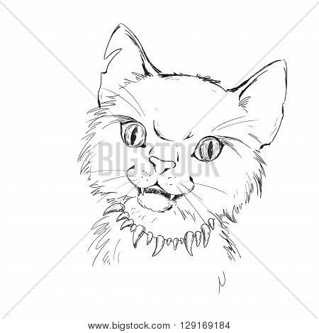 Character wild cat. Tramp street. Tattoo sketch vector