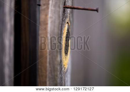old wooden Board with a rusty nail, macro shooting