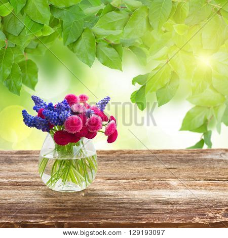 Muscari and Daisy Flowers in vase on wooden windiw, with summer bokeh background