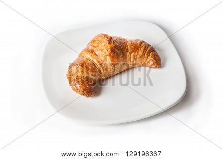 Freshly baked brown croissant on white plate