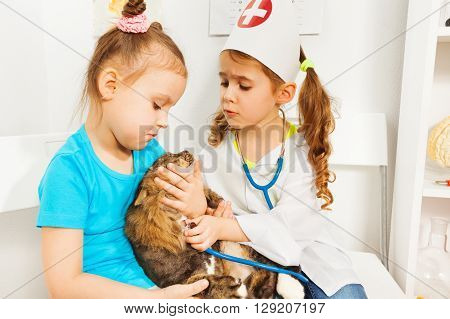 Little girls playing vet with stethoscope and cat at the vet clinic.