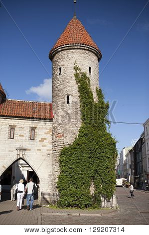 TALLINN ESTONIA- JUNE 18: tourists on the entrance from the Viru Gate of the Old city on June 18 2012 in Tallinn Estonia