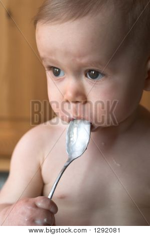 Baby yogurt