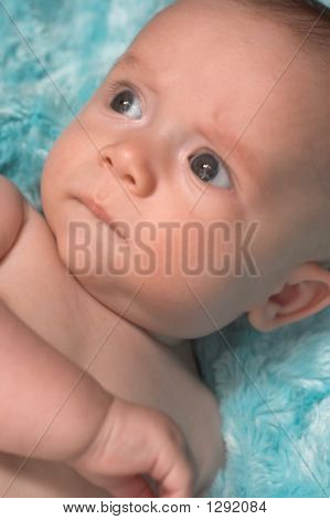 Bel bambino