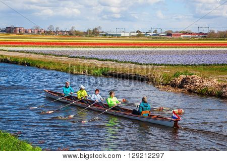 Lisse Netherlands - April 23 2016: canoe with unidentified paddlers between tulip fields near Lisse. Lisse is world renown for the Keukenhof and the large tulip fields in the region.