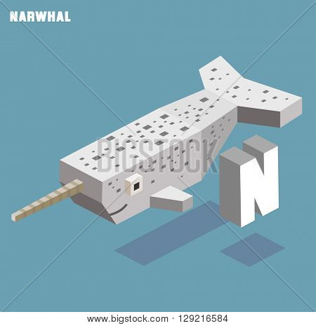 N for Narwhal. Animal Alphabet collection. vector illustration