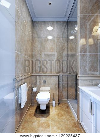 Idea of provence bathroom. An example of an interior bathroom with limited space where the separated shower looks nice with a door of glass.3D render