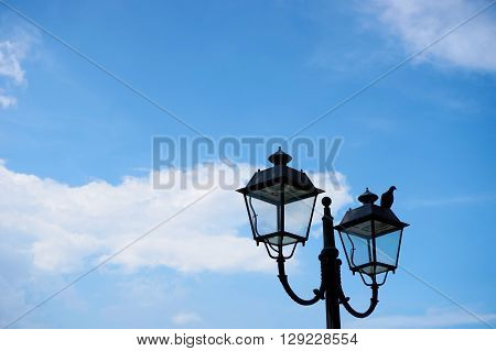 lamp post with bird (space for text)