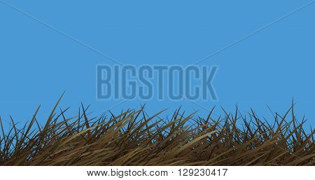 3d render of tall green grass growing against blue background