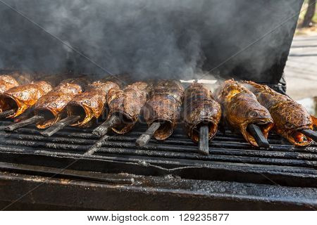 Grilled Snakehead fish Thai style food