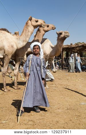 DARAW, EGYPT - FEBRUARY 6, 2016: Local young camel salesmen on Camel market posing for camera.