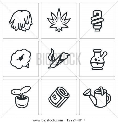 Person, Plant, Bulb, Smoke, Cigar, Cannabis, Finance, Watering can