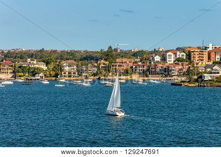 Sydney Australia - November 12 2014: Sailing boats and residential housing in Rose Bay Sydney New South Wales Australia. Rose Bay is a harbourside eastern suburb of Sydney 7 kilometres east of the Sydney central business district.