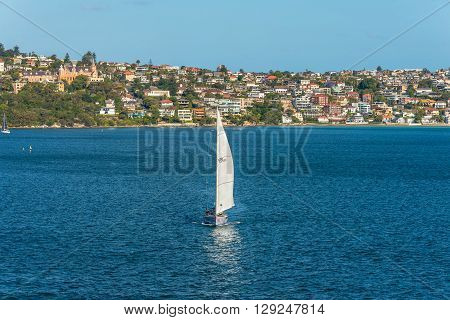 Sydney Australia - November 12 2014: Sailing boat and residential housing in Rose Bay Sydney New South Wales Australia. Rose Bay is a harbourside eastern suburb of Sydney 7 kilometres east of the Sydney central business district.