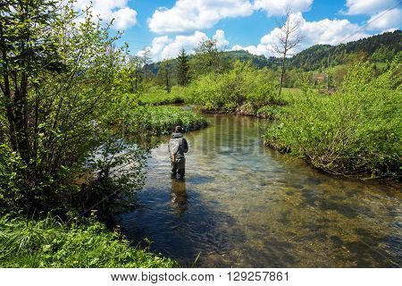 Fly Fisherman Fishing Trouts In  River