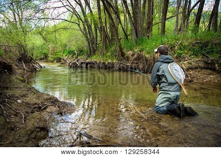 Fly Fisherman Fishing Trouts In  River