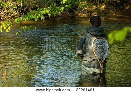 Fly Fisherman Fishing Trouts In  River