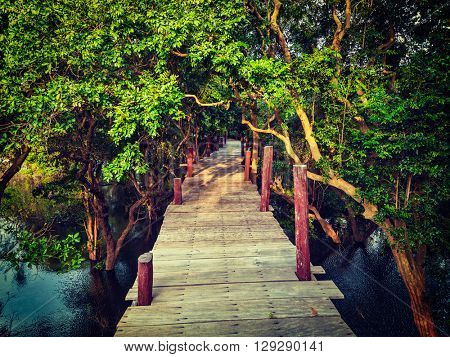 Tropical exotic travel concept - vintage retro effect filtered hipster style image of wooden bridge in flooded rain forest jungle of mangrove trees near Kampong Phluk village, Cambodia