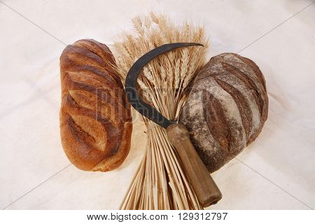bunch of mown wheat ears with vintage handmade reaper hook sickle and rye and white dark french fresh bread loaf on light linen tablecloth