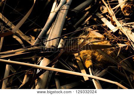 Close up of square straw abstract background and texture