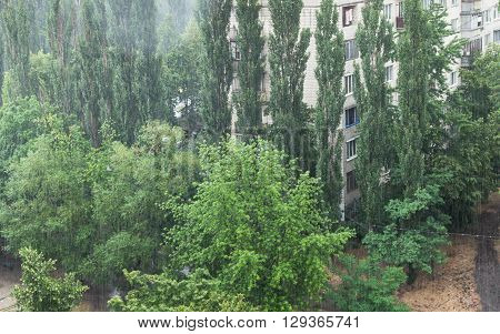 Heavy rain across from green trees and residential house in the town