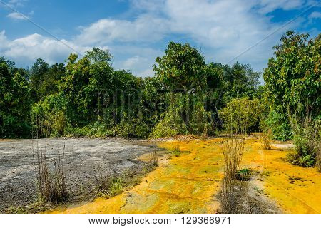 Khao Pra Bang Khram Wildlife Sanctuary way to Emerald Pool aka Sa Morakot tourist destination. National Park Krabi Thailand. Green tropical forest Southeast Asia. Yellow and orange soil