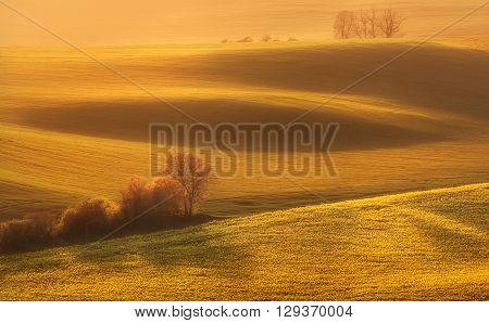 Beautiful spring landscape in South Moravia with green fields trees and flowers at colorful sunset Czech Republic.