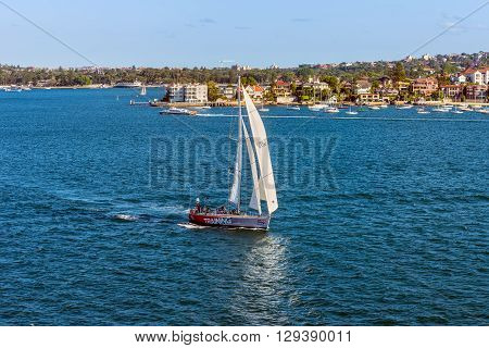 Sydney Australia - November 12 2014: Sailboats cruising near the Point Piper Sydney New South Wales Australia. Point Piper is a small affluent harbourside eastern suburb of Sydney.